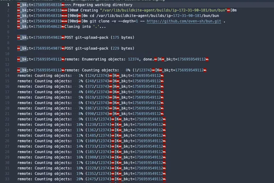 A screenshot from VSCode showing ANSI escape codes and timestamps encoded into a raw build log.